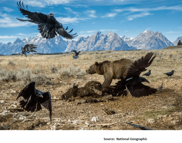 the-eagle-has-landed