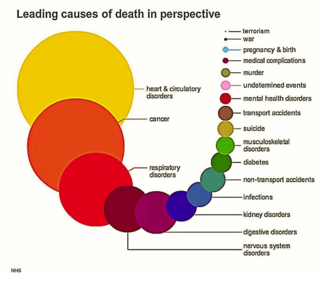 Leading Causes of Death_June 5