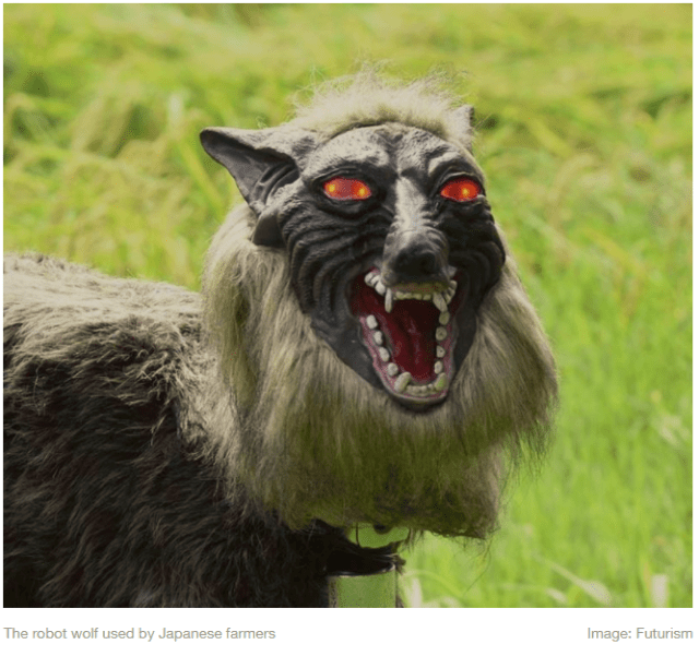 Robot Wolves_Mar15.png