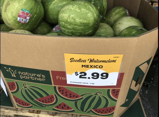 Mexico Watermelons