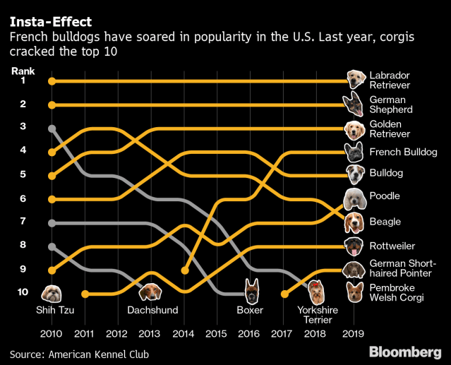 47857057-0DCB-4A8C-BF45-239919C92B13